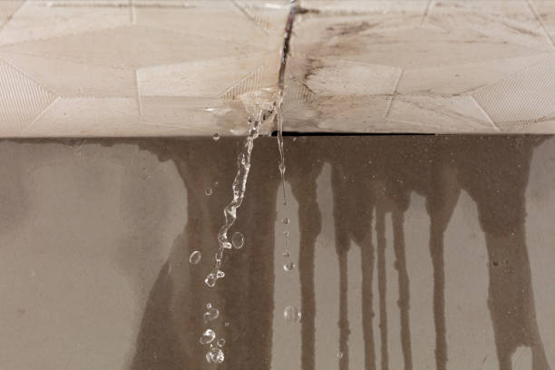 Professional Water Damage Inspection technician working in Haslet, TX